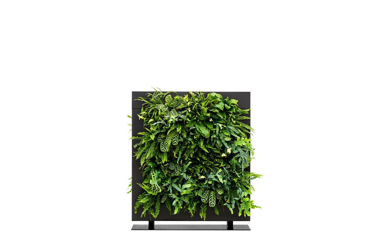 Freestanding Living Wall Divider | Black | 131cm | Self-Irrigating | No Electricity Required