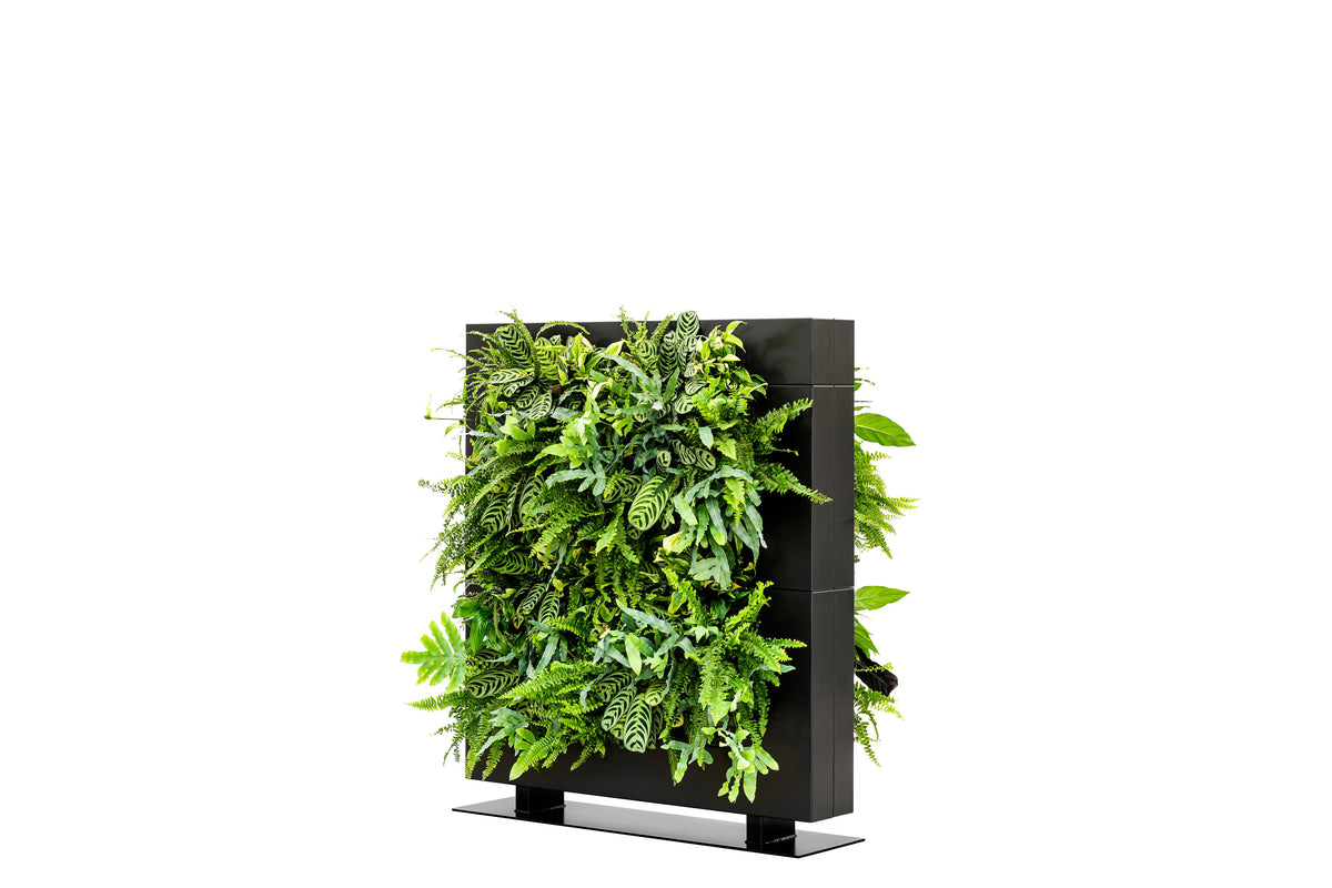 Freestanding Living Wall Divider | Black | 131cm | Self-Irrigating | No Electricity Required
