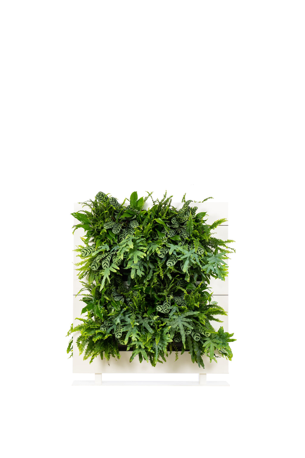 Freestanding Living Wall Divider | White | 131cm | Self-Irrigating | No Electricity Required