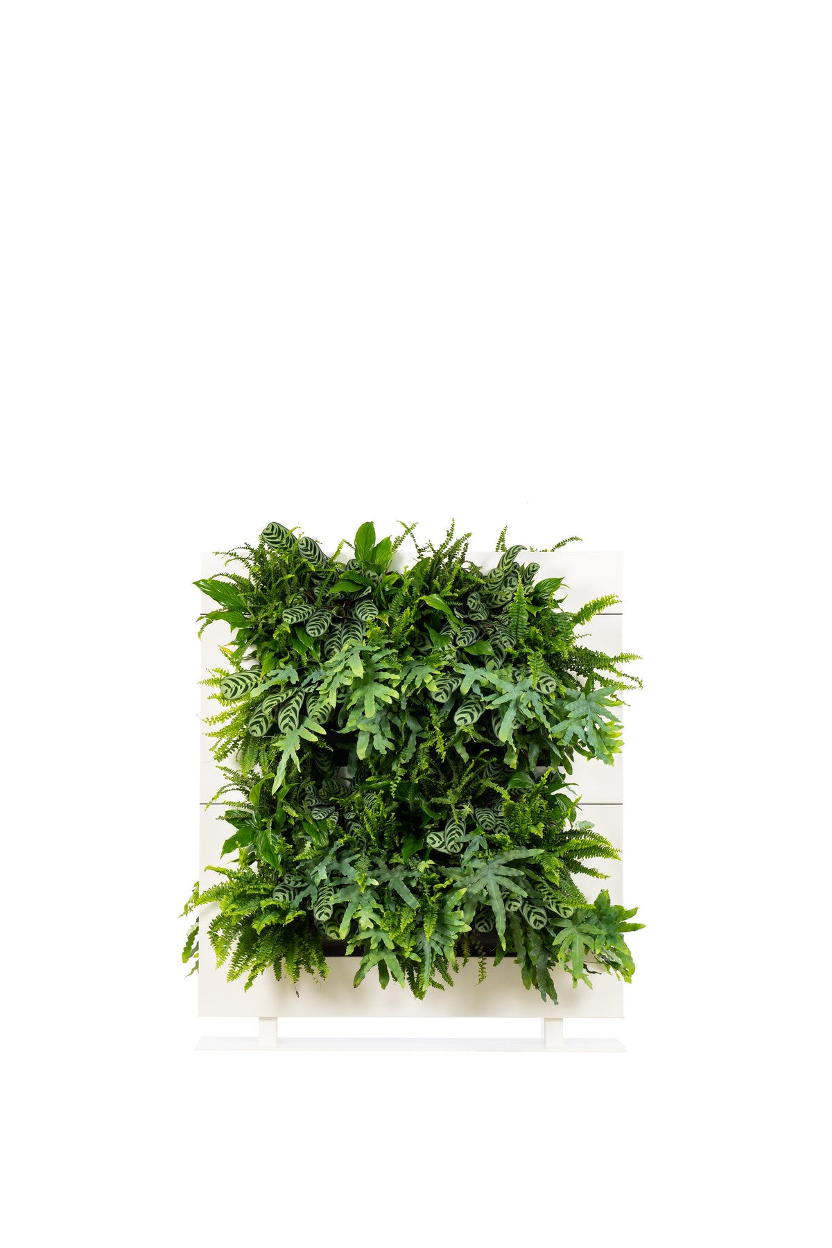 Freestanding Living Wall Divider | White | 131cm | Self-Irrigating | No Electricity Required