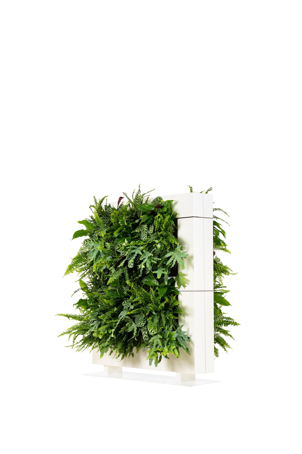 Freestanding Living Wall Divider | White | 131cm | Self-Irrigating | No Electricity Required