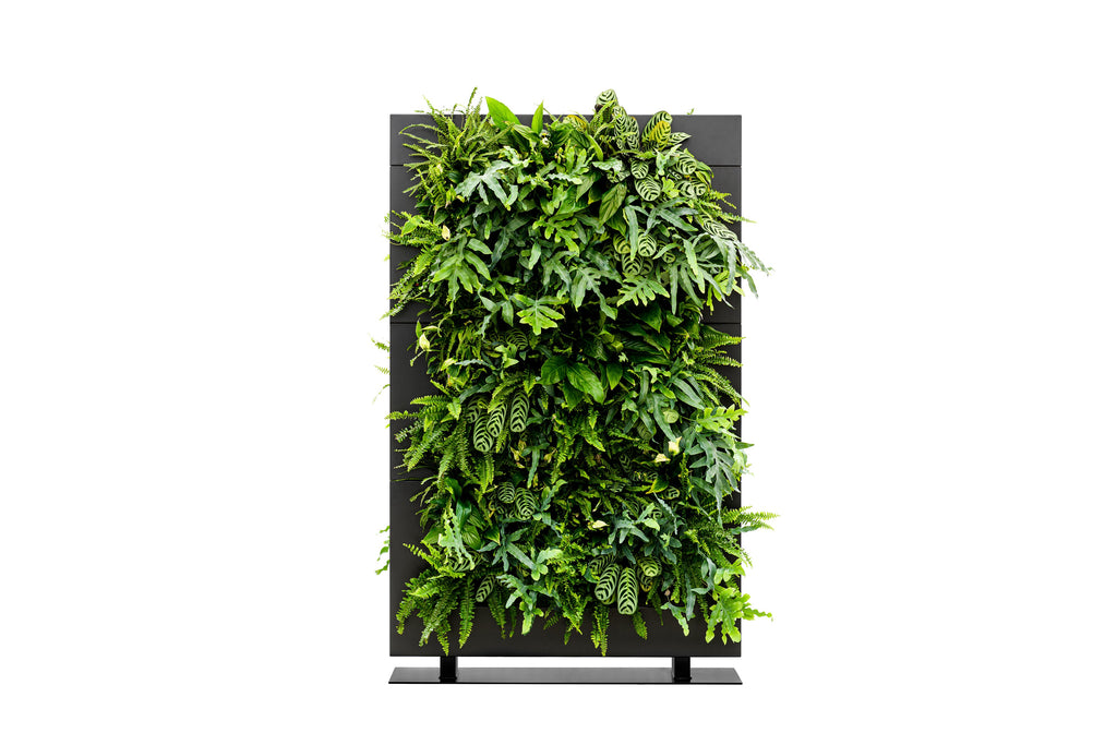 Freestanding Living Wall Divider | Black | 180.5cm | Self-Irrigating | No Electricity Required