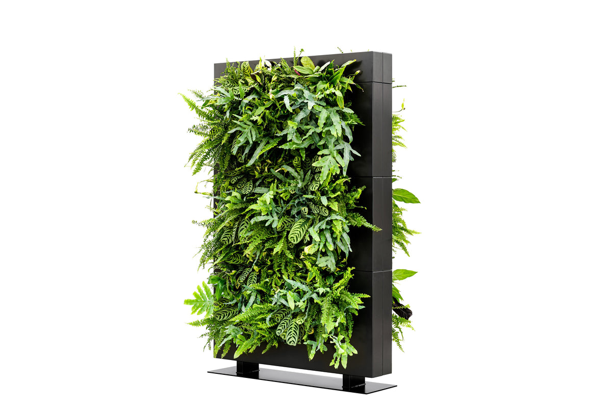 Freestanding Living Wall Divider | Black | 180.5cm | Self-Irrigating | No Electricity Required