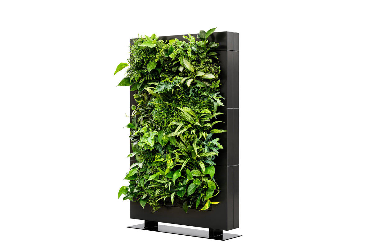 Freestanding Living Wall Divider | Black | 180.5cm | Self-Irrigating | No Electricity Required