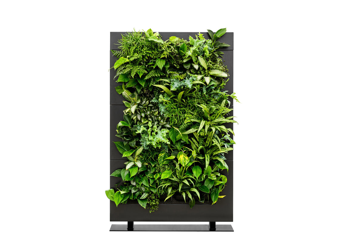 Freestanding Living Wall Divider | Black | 180.5cm | Self-Irrigating | No Electricity Required