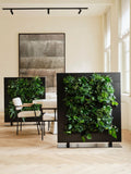 Freestanding Living Wall Divider | Black | 81cm | Self-Irrigating | No Electricity Required