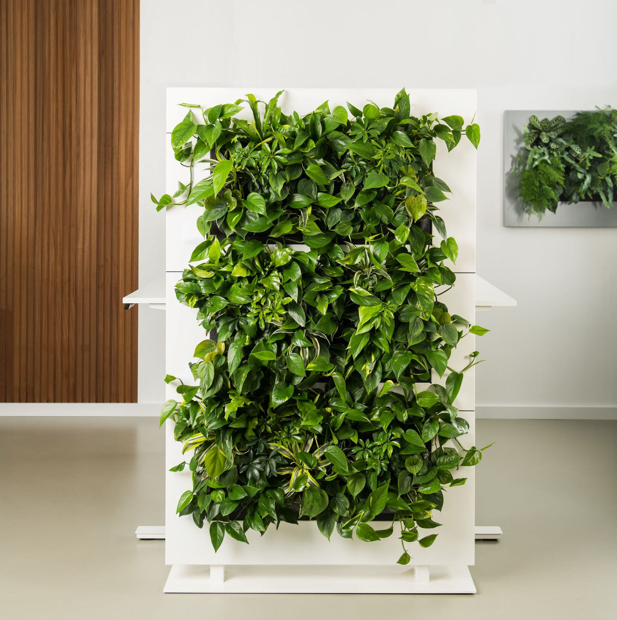 Freestanding Living Wall Divider | White | 180.5cm | Self-Irrigating | No Electricity Required