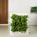 Freestanding Living Wall Divider | White | 81cm | Self-Irrigating | No Electricity Required
