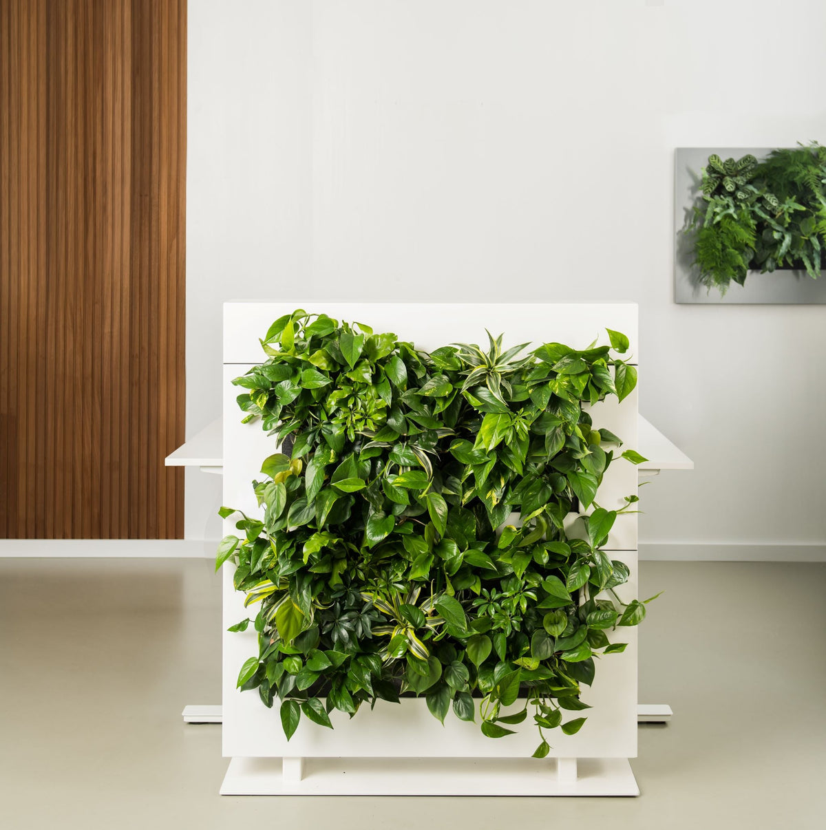 Freestanding Living Wall Divider | White | 81cm | Self-Irrigating | No Electricity Required