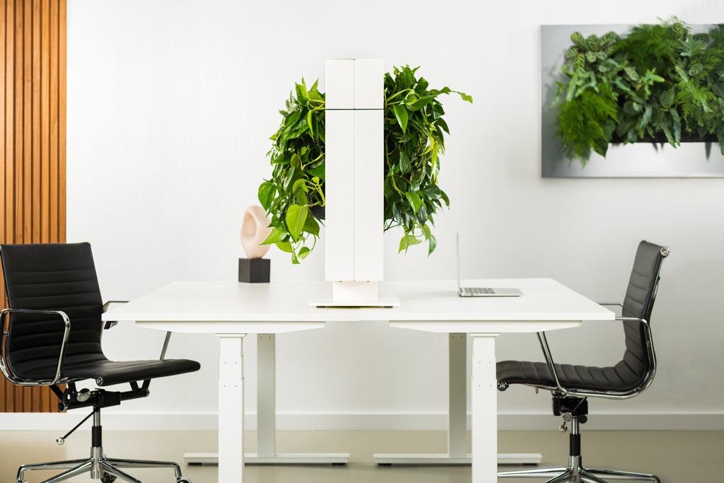 Freestanding Living Wall Divider | White | 81cm | Self-Irrigating | No Electricity Required