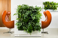 Freestanding Living Wall Divider | White | 131cm | Self-Irrigating | No Electricity Required