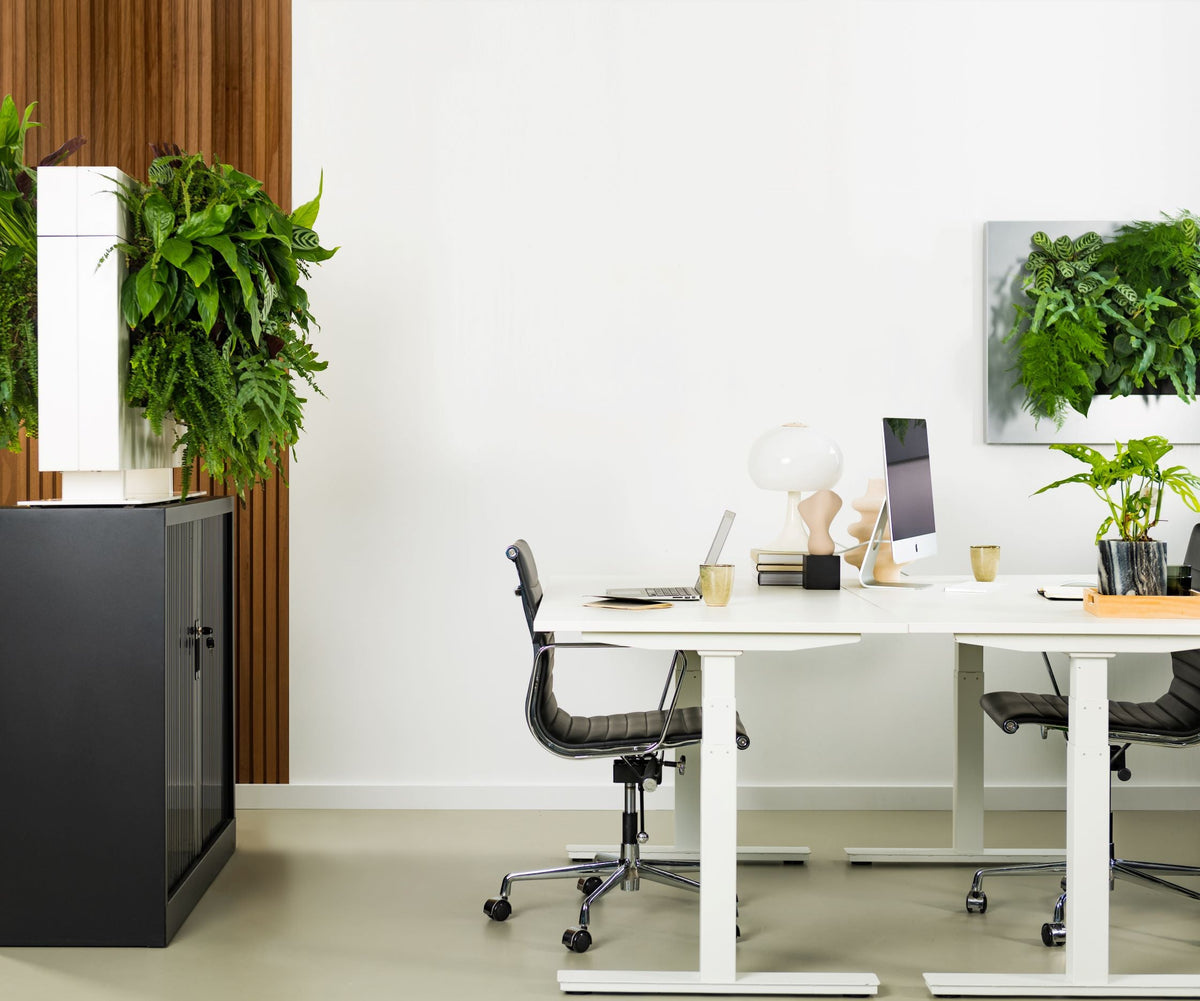 Freestanding Living Wall Divider | White | 131cm | Self-Irrigating | No Electricity Required