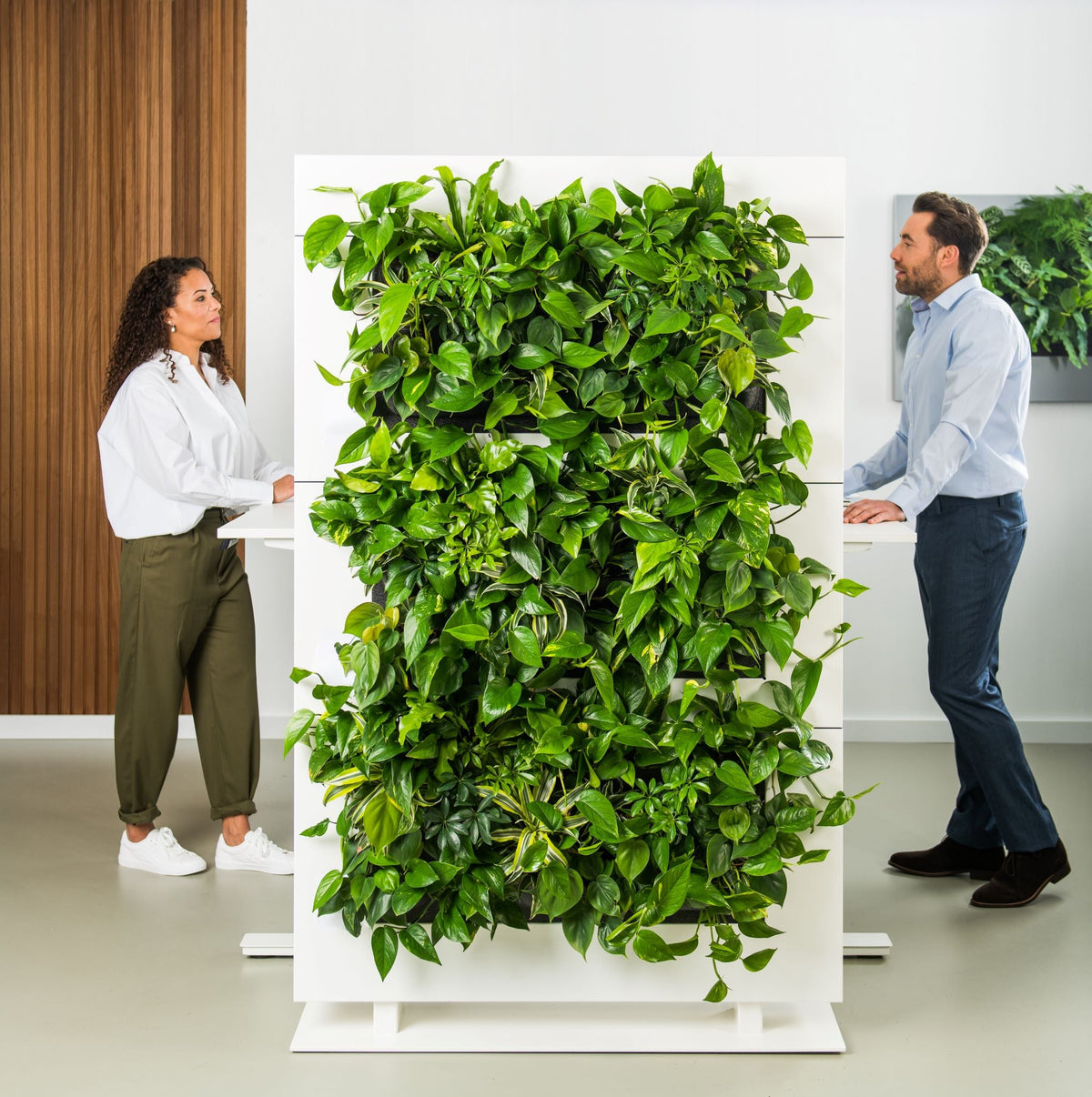 Freestanding Living Wall Divider | White | 180.5cm | Self-Irrigating | No Electricity Required
