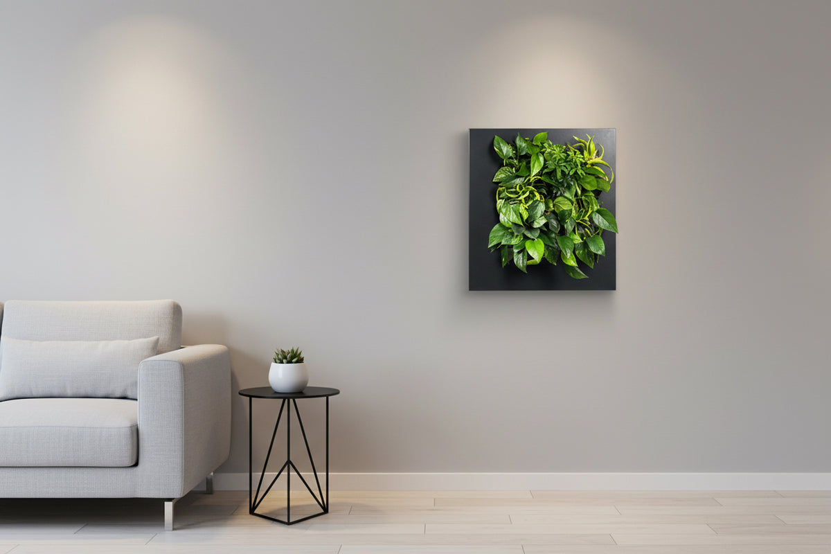 Living Wall Picture Frame | Black | 72cm | Self-Watering | No Plumbing Required