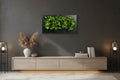 Living Wall Picture Frame | Black | 152cm | Self-Watering | No Plumbing Required