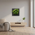 Bamboo Living Wall Picture Frame | Black | 51.6cm | Self-Watering | Indoor & Outdoor