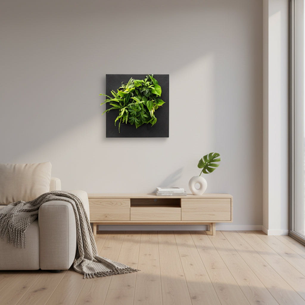 Bamboo Living Wall Picture Frame | Black | 51.6cm | Self-Watering | Indoor & Outdoor