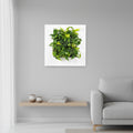 Living Wall Picture Frame | White | 72cm | Self-Watering | No Plumbing Required