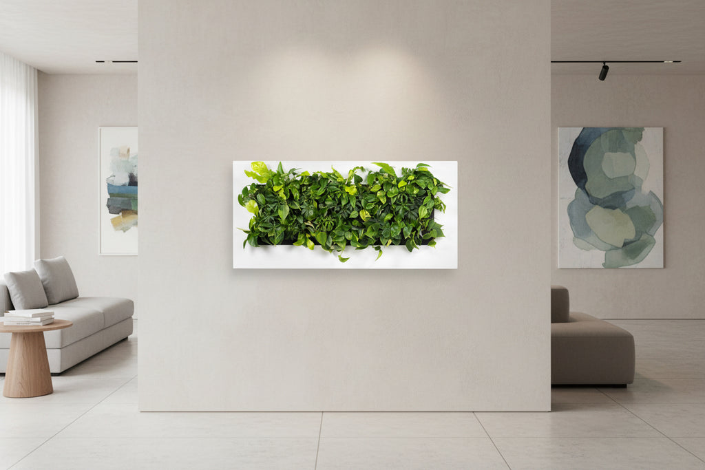 Living Wall Picture Frame | White | 152cm | Self-Watering | No Plumbing Required