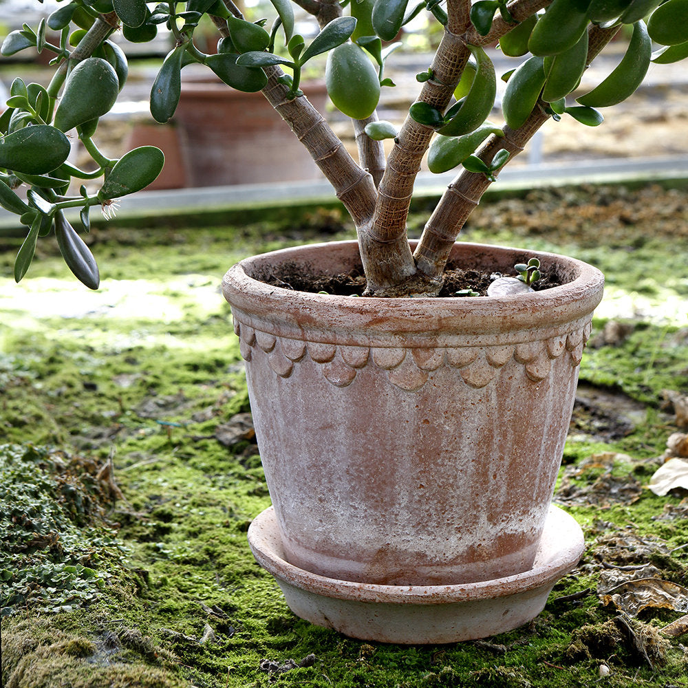 Copenhagen Pot