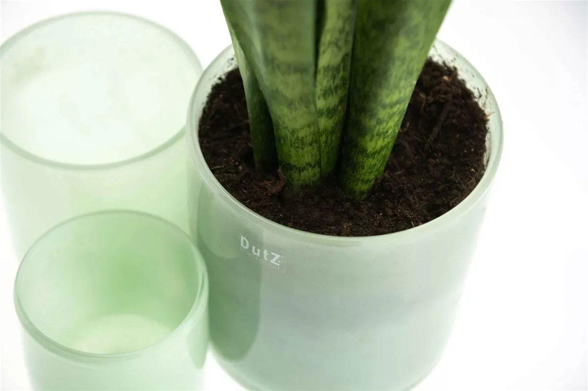 CYLINDER C1 Candleholder Votive - Mouthblown Glass by DutZ