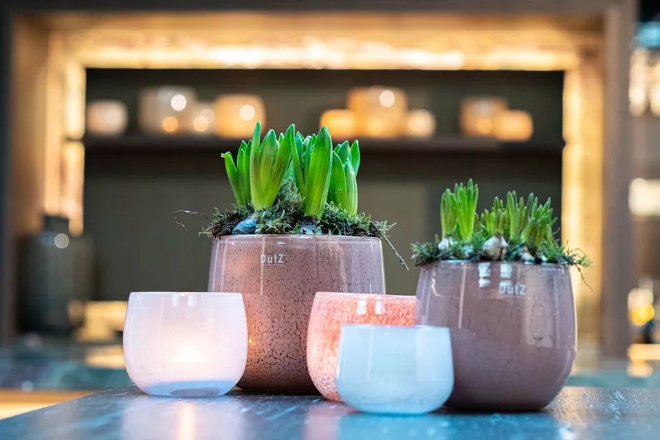 The Mouthblown Glass POT Collection - by DutZ