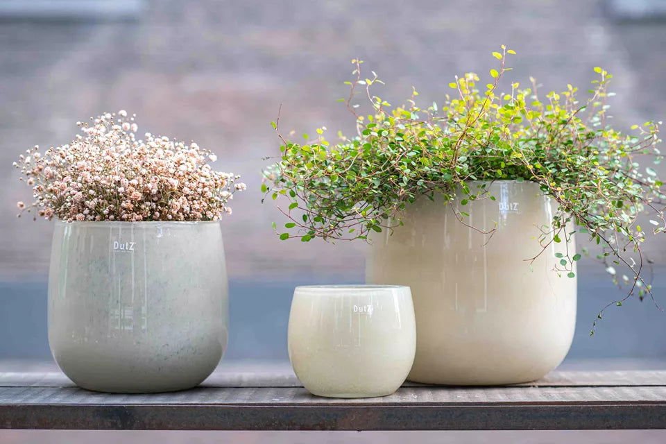 The Mouthblown Glass POT Collection - by DutZ