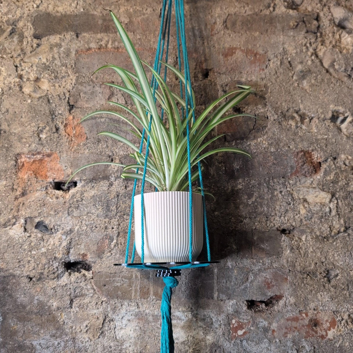 Floral Plant Hanger by Ada Binks