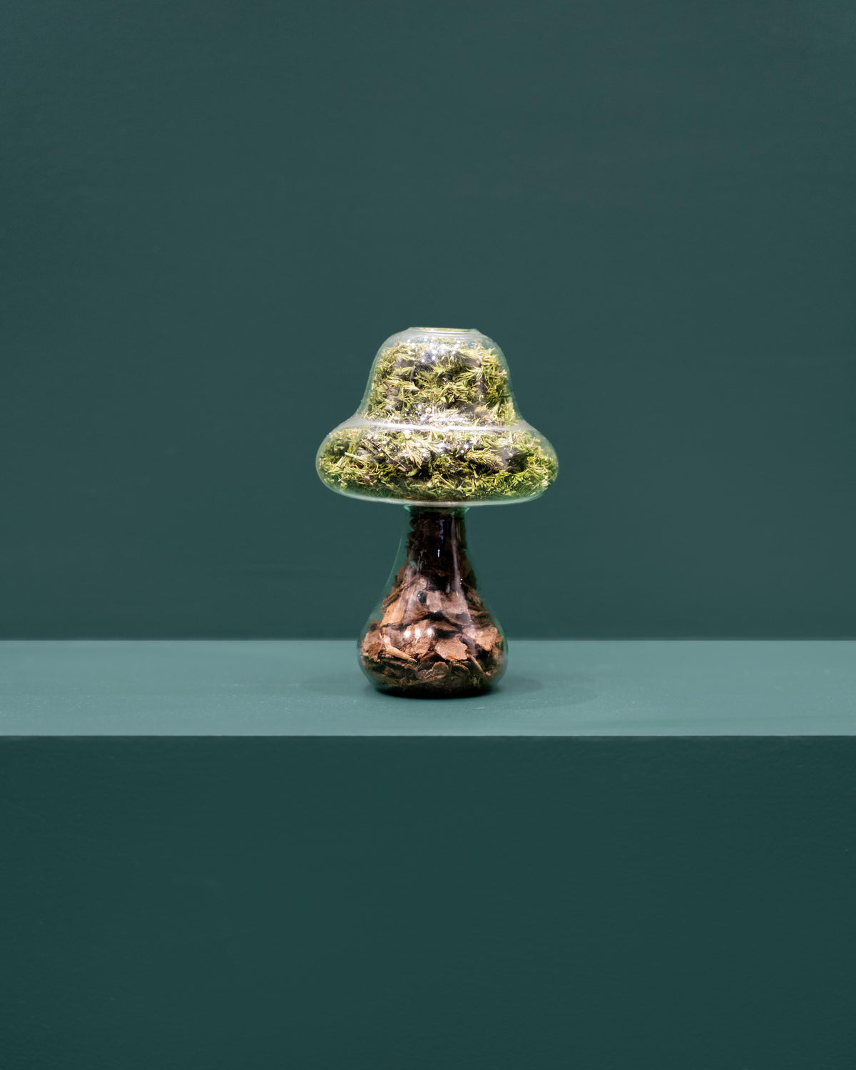 Preserved Moss Mushroom Ornament | Tall | Bark Cap