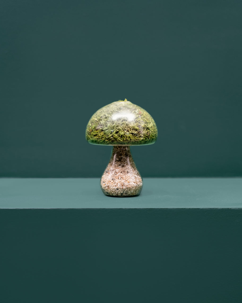 Preserved Moss Mushroom Ornament | Round | Light Stone Cap