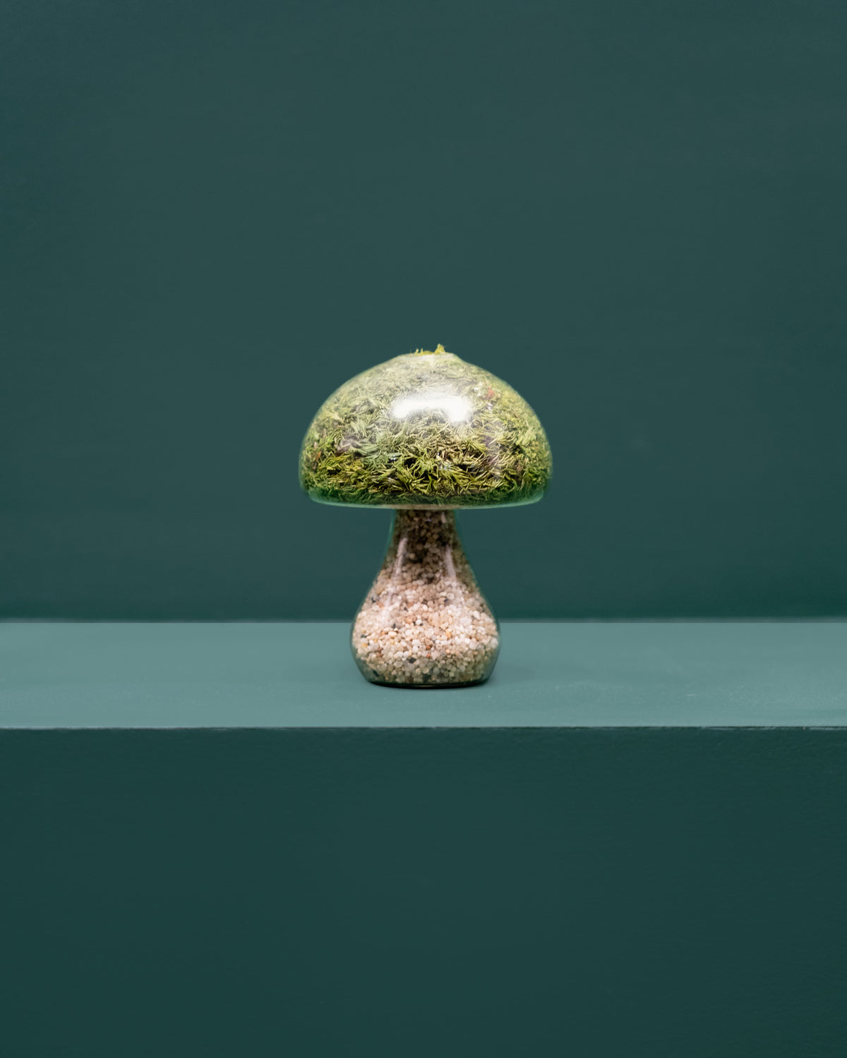 Preserved Moss Mushroom Ornament | Round | Light Stone Cap