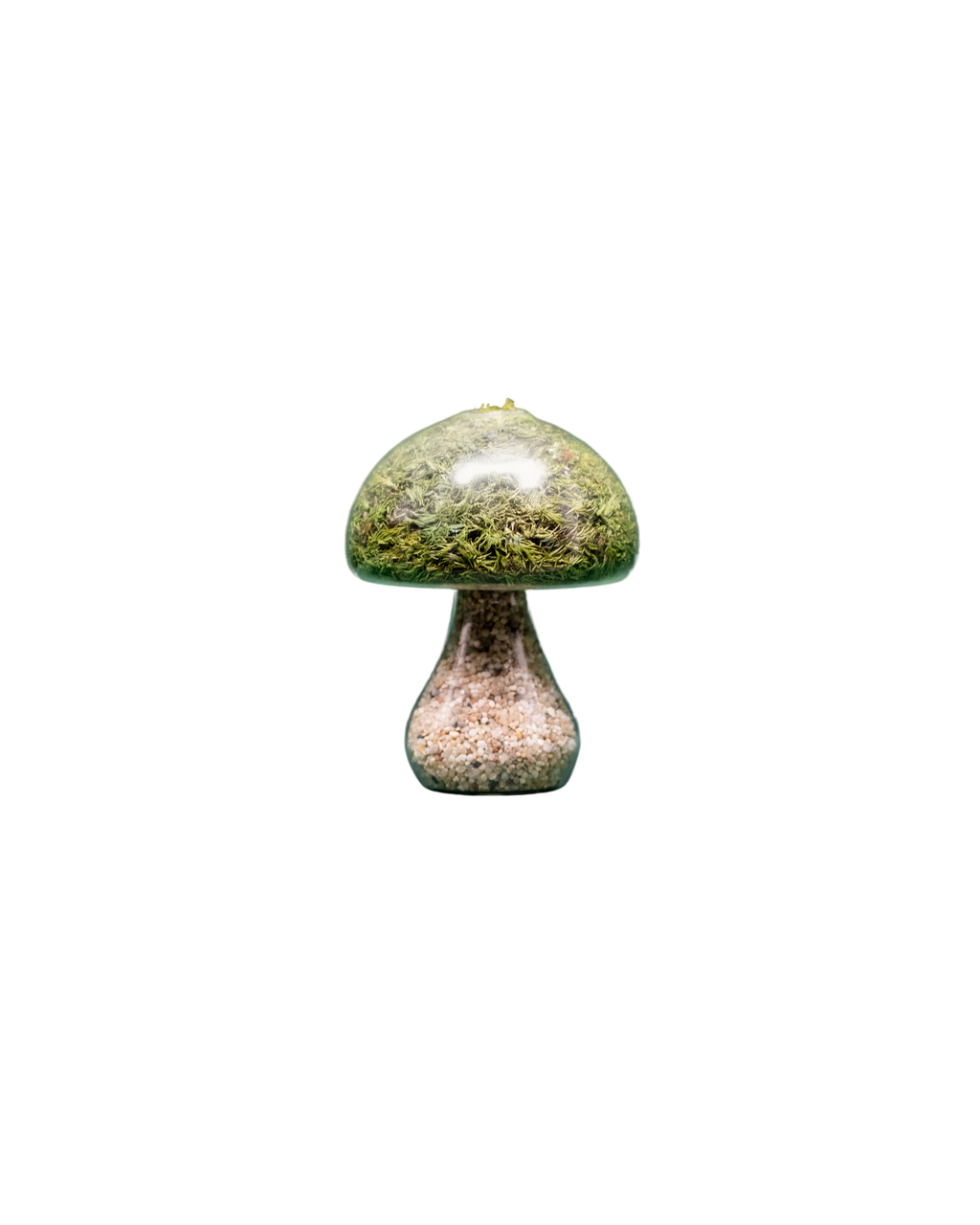 Preserved Moss Mushroom Ornament | Round | Light Stone Cap