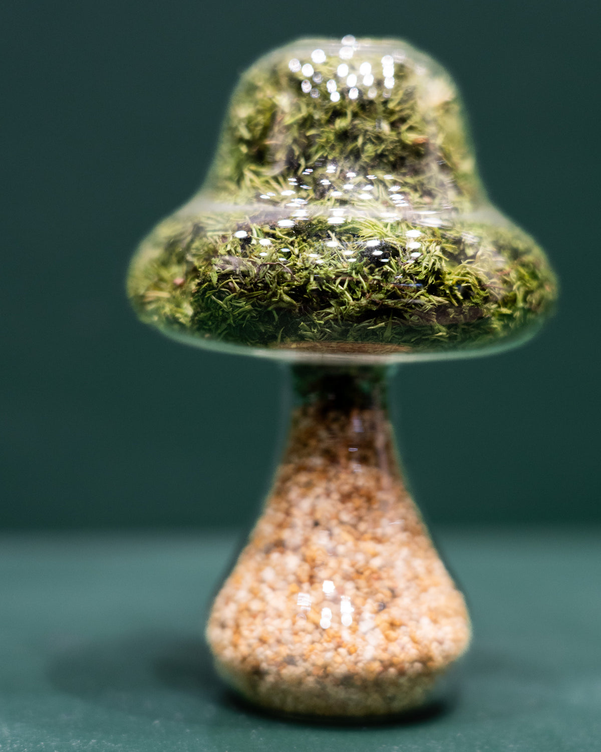 Preserved Moss Mushroom Ornament | Tall | Natural Stone Cap