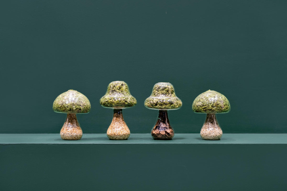 Preserved Moss Mushroom Ornament | Round | Light Stone Cap
