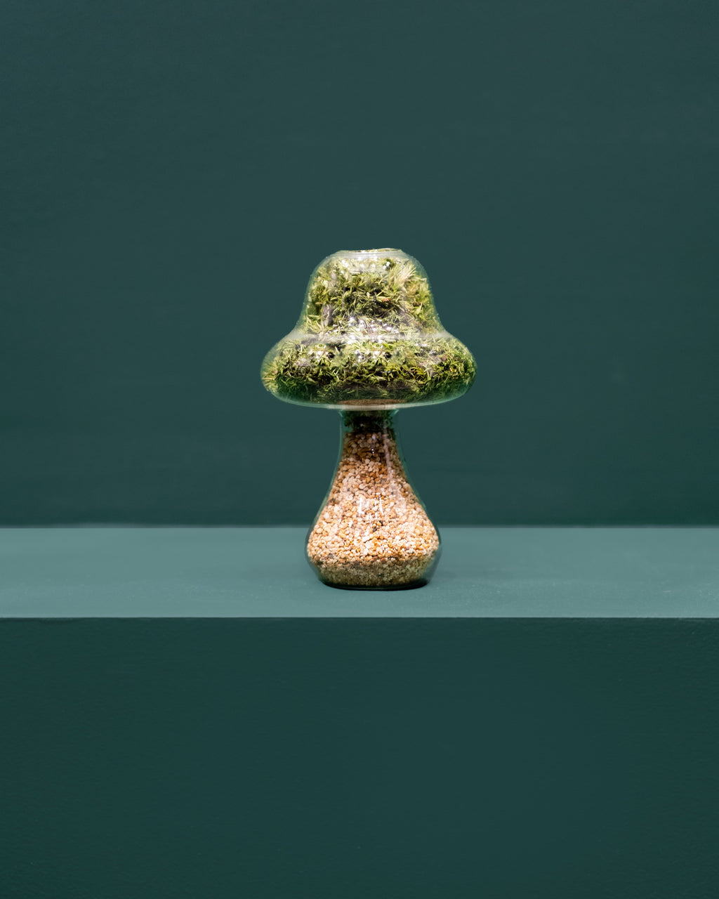 Preserved Moss Mushroom Ornament | Tall | Natural Stone Cap