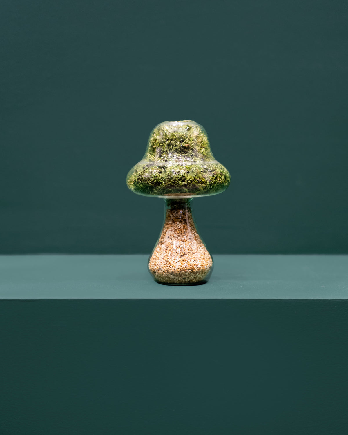 Preserved Moss Mushroom Ornament | Tall | Natural Stone Cap