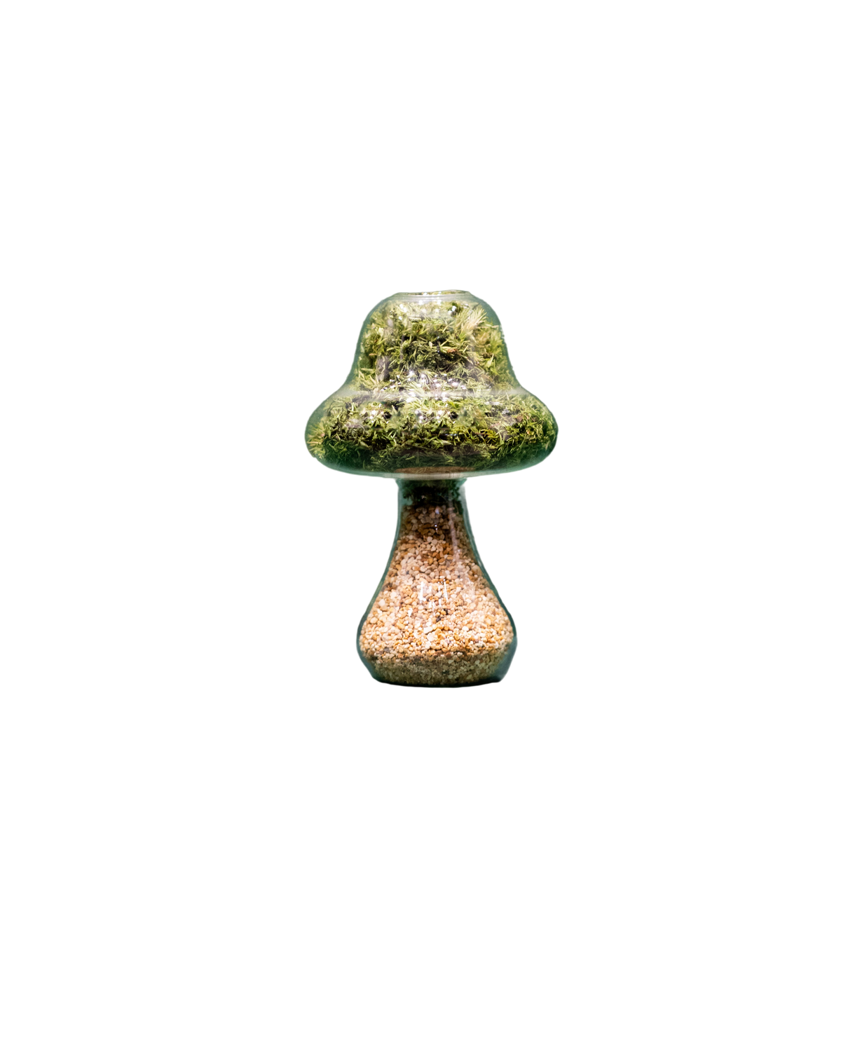 Preserved Moss Mushroom Ornament | Tall | Natural Stone Cap