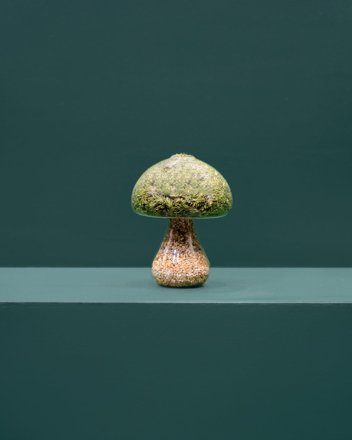 Preserved Moss Mushroom Ornament | Round | Natural Stone Cap