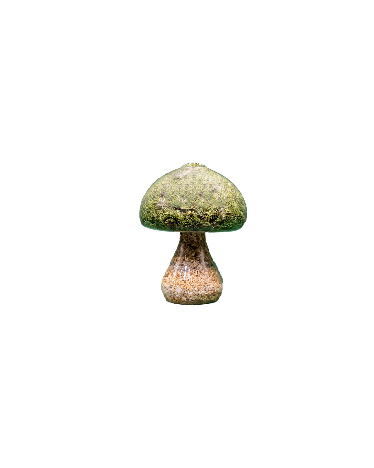 Preserved Moss Mushroom Ornament | Round | Natural Stone Cap