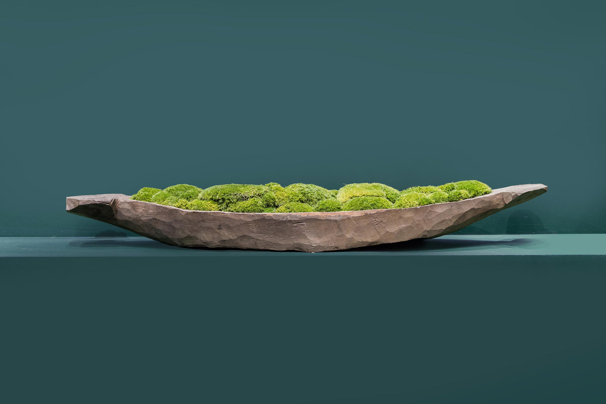 Mokoro Canoe Preserved Moss Table Display | Handmade Planter |