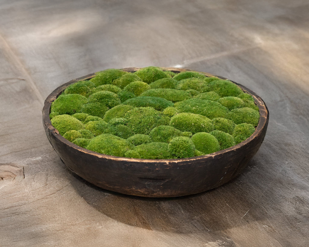 Vintage Wooden Moss Bowl | Preserved Moss | 61cm D × 13.5cm H