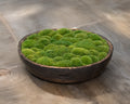 Vintage Wooden Moss Bowl | Preserved Moss | 61cm D × 13.5cm H