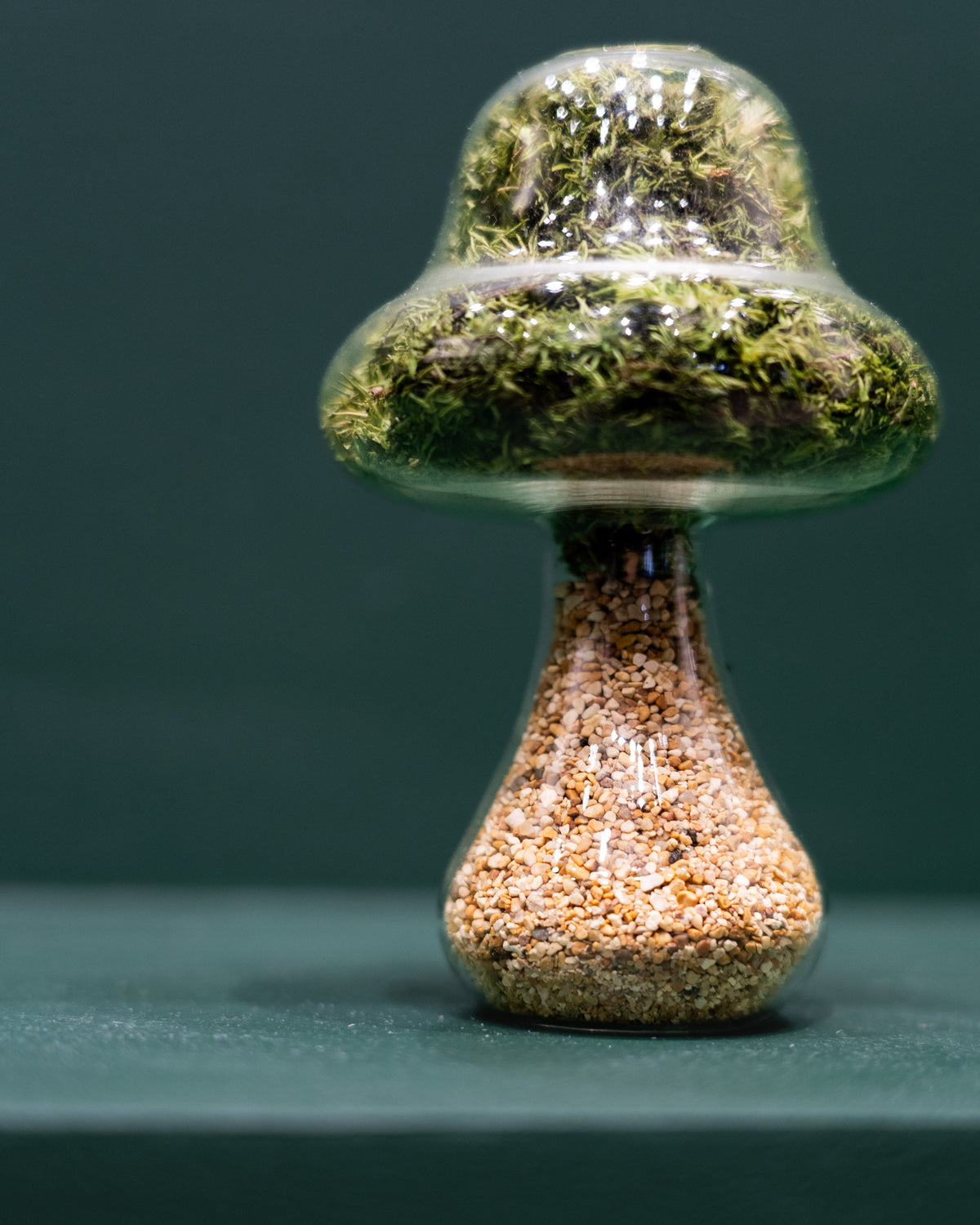 Preserved Moss Mushroom Ornament | Tall | Natural Stone Cap