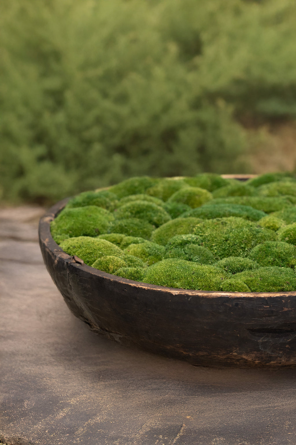 Vintage Wooden Moss Bowl | Preserved Moss | 61cm D × 13.5cm H