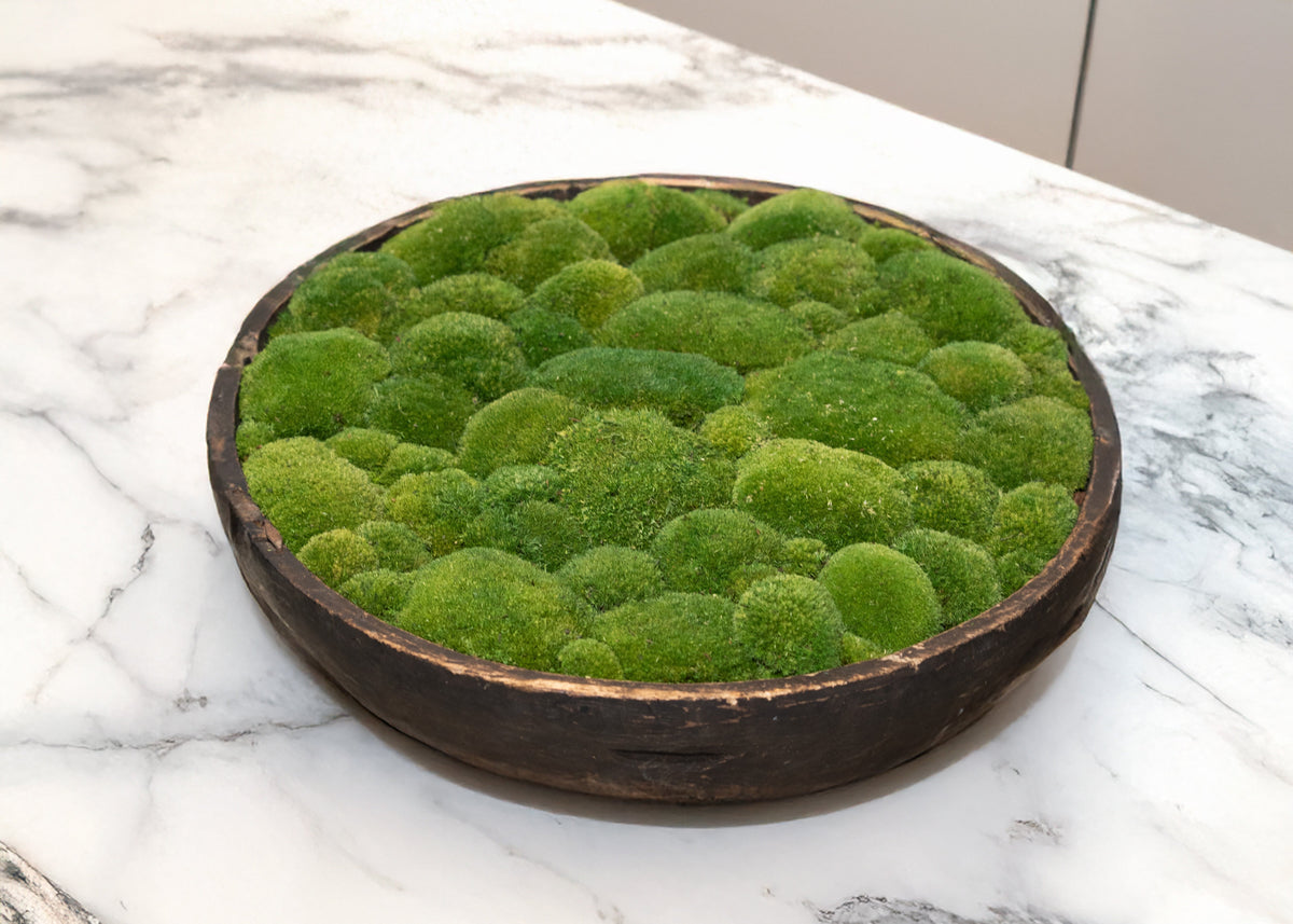 Vintage Wooden Moss Bowl | Preserved Moss | 61cm D × 13.5cm H